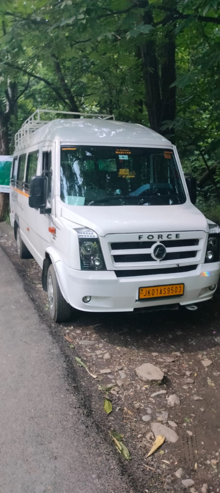 Mountains in the Clouds